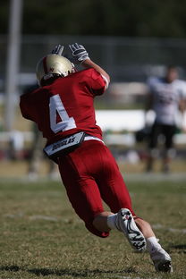 星空综合体育全站app-五大联赛争四阶段关键球员贡献值差异对比，五大联赛引援